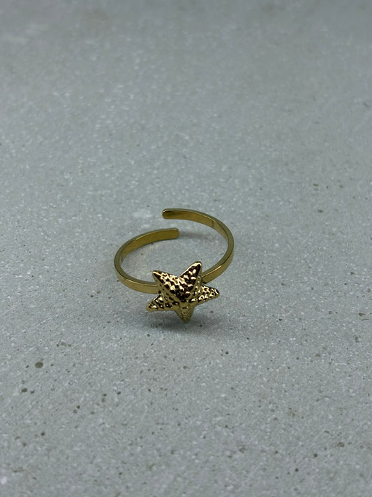 Seestern Verstellbar