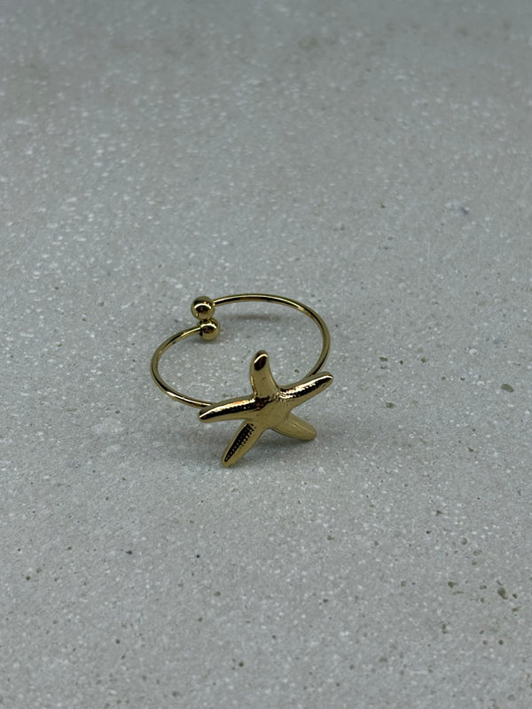 Seestern Verstellbar 2.0